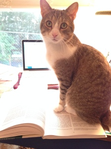 Help out a PhD student... unlike my cat, Gouda, who definitely is not helping a PhD student.